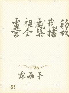 电视剧我的特一营全集播放