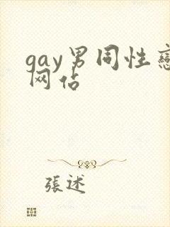 gay男同性恋网站