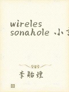 wirelessonahole 小说封面