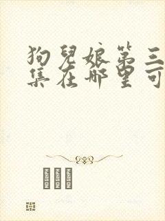 狗儿娘第三部续集在哪里可以看