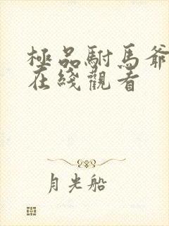 极品驸马爷短剧在线观看