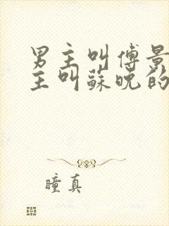 男主叫傅景琛女主叫苏晚的小说