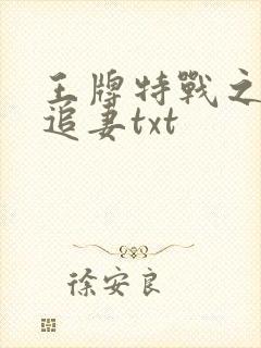 王牌特战之军少追妻txt