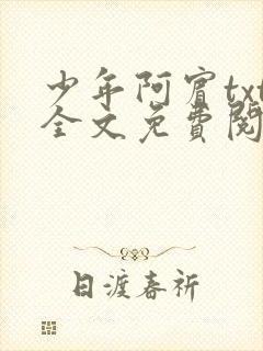 少年阿宾txt全文免费阅读