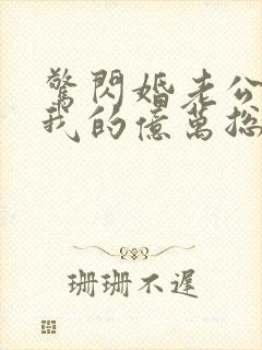 惊闪婚老公竟是我的亿万总裁