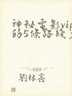 神秘电影vip的5条路线免费观看封面