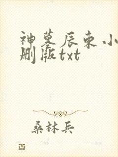 神墓辰东小说未删版txt