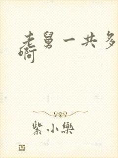 老舅一共多少集啊