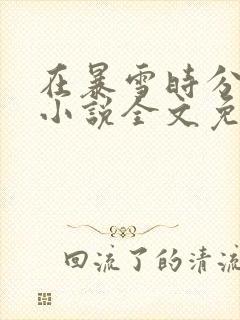 在暴雪时分原著小说全文免费阅读