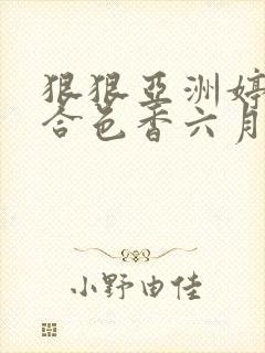 狠狠亚洲婷婷综合色香六月