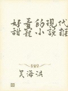 好看的现代言情甜宠小说推荐封面