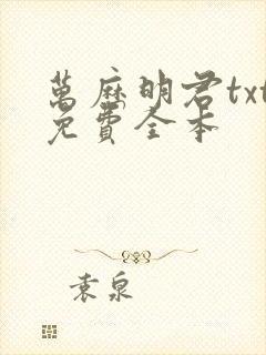 万历明君txt免费全本封面