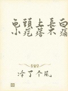 龟头上长白色的小疙瘩不痛不痒