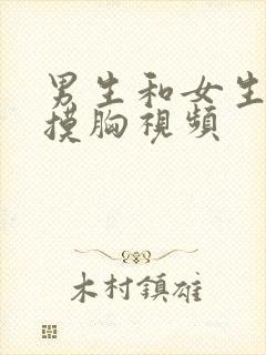 男生和女生亲嘴摸胸视频