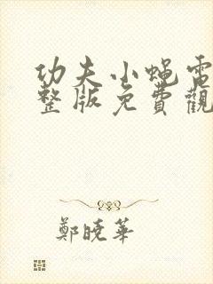 功夫小蝇电影完整版免费观看国语