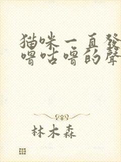 猫咪一直发出咕噜咕噜的声音不停封面