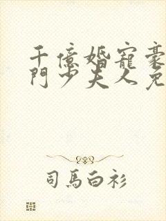 千亿婚宠豪娶豪门少夫人免费阅读封面