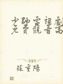 少帅电视剧全集免费观看高清在线观看