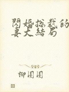 闪婚总裁的契约妻大结局