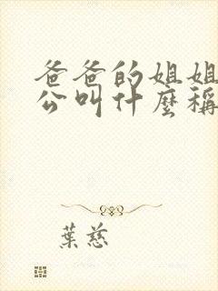 爸爸的姐姐的老公叫什么称呼