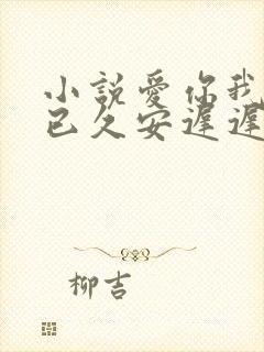 小说爱你我蓄谋已久安迟迟,陈慕言