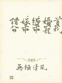 错嫁缠婚首富老公乖乖宠我小说免费阅读