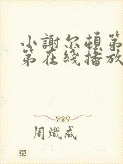 小谢尔顿第二季第在线播放