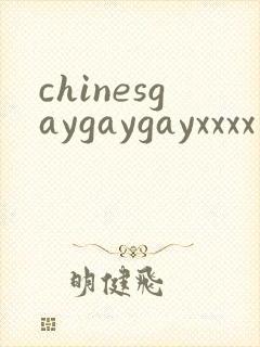 chinesgaygaygayxxxx