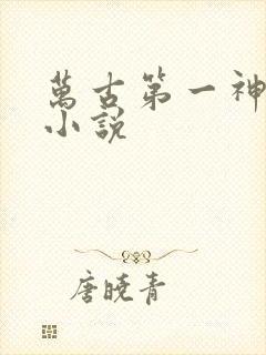 万古第一神有声小说