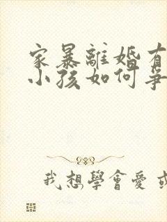 家暴离婚有两个小孩如何争取抚养权封面