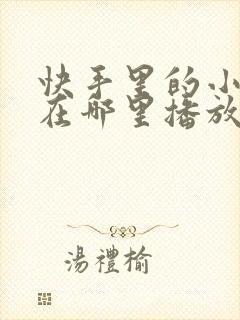 快手里的小短剧在哪里播放封面