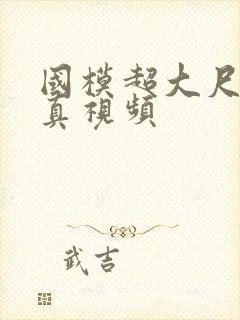 国模超大尺度写真视频