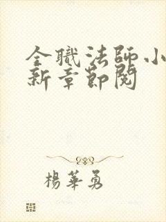 全职法师小说最新章节阅封面