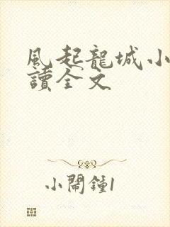 风起龙城小说阅读全文