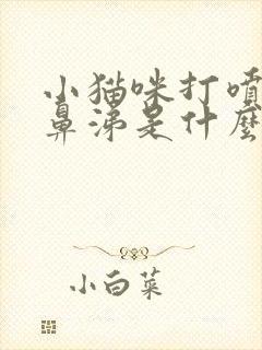 小猫咪打喷嚏流鼻涕是什么原因封面