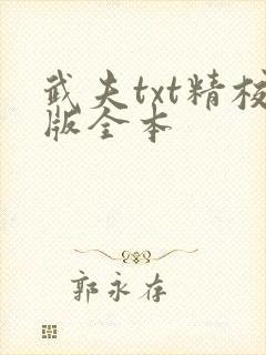 武夫txt精校版全本