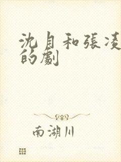 沈月和张凌赫演的剧