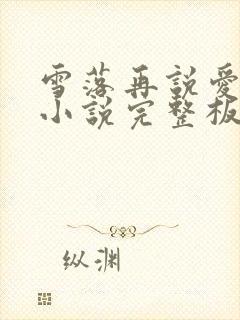 雪落再说爱你 小说完整板