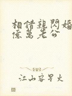 相错亲闪婚嫁给亿万老公