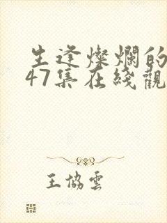 生逢灿烂的日子47集在线观看