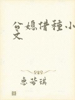 公媳借种小说h文