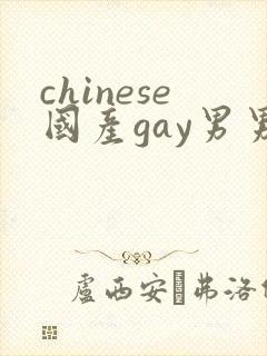 chinese国产gay男男网站