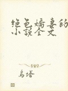 绝色娇妻的秘密小说全文