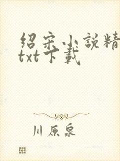 绍宋小说精校版txt下载