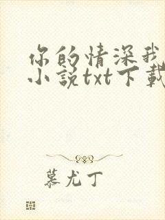 你的情深我不配小说txt下载