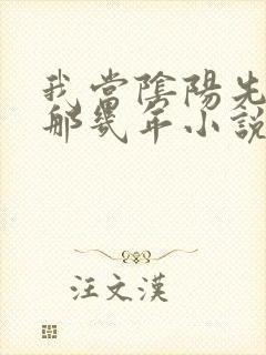 我当阴阳先生的那几年小说