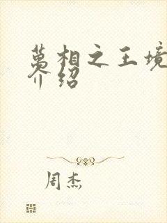 万相之王境界及介绍封面