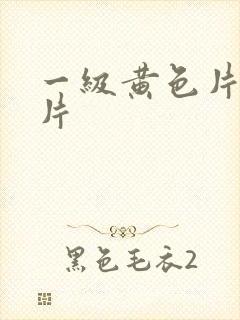 一级黄色片夫妻片