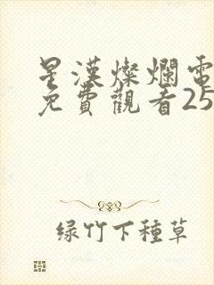 星汉灿烂电视剧免费观看25集