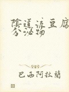 阴道流豆腐渣的分泌物